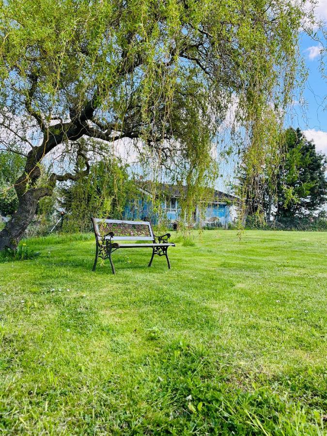 Ferienhaus Slichtemolen Hessenburg Eksteriør bilde