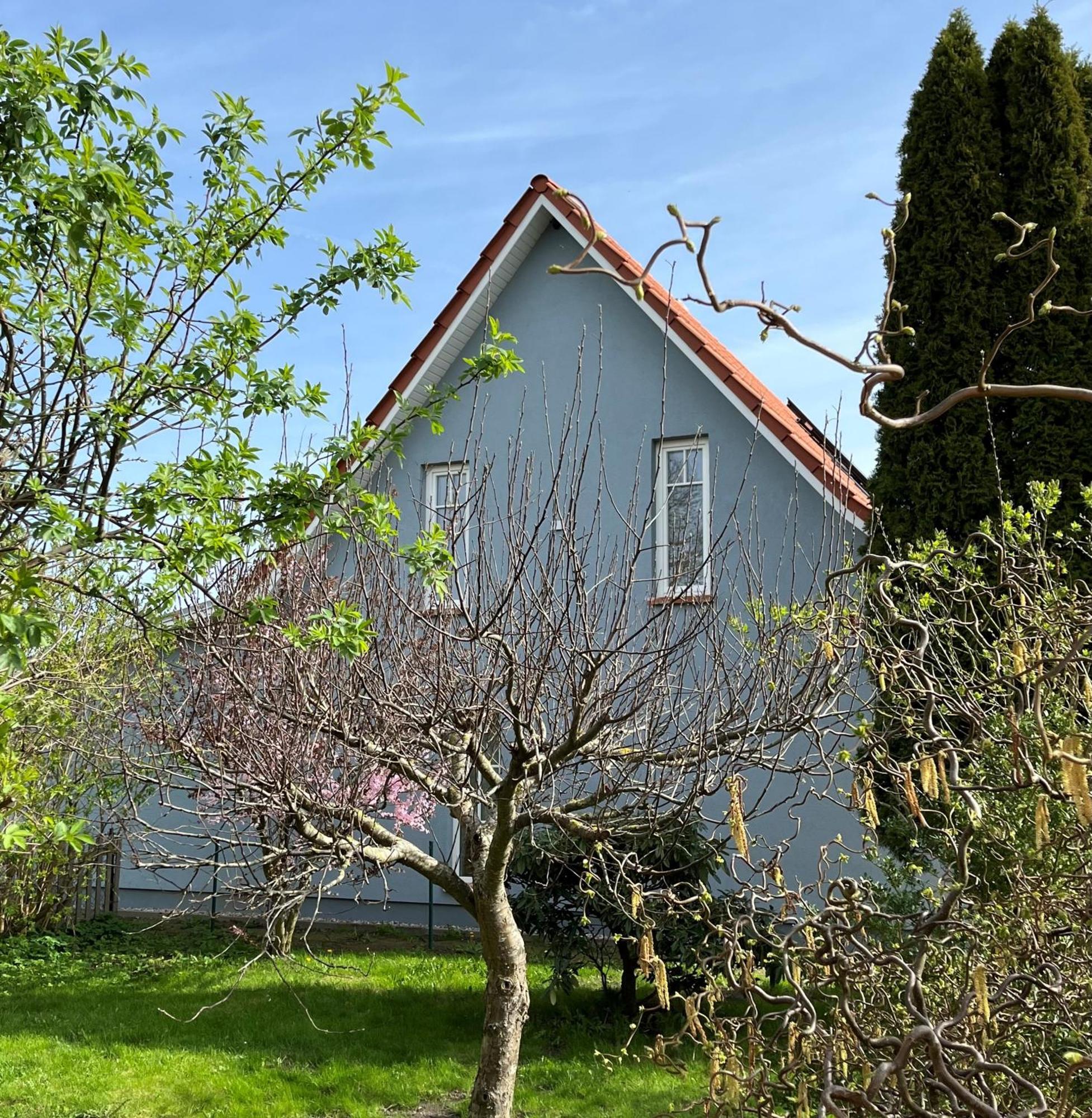 Ferienhaus Slichtemolen Hessenburg Eksteriør bilde